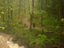 2013-06-01_Regina-F-Rau_Staffelalm_Hochwasser (049).JPG